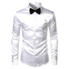 Elegant Satin Shirt &amp; Tie Set